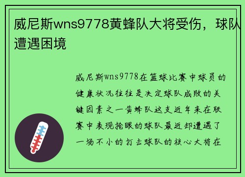 威尼斯wns9778黄蜂队大将受伤，球队遭遇困境