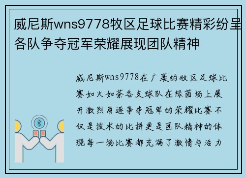 威尼斯wns9778牧区足球比赛精彩纷呈各队争夺冠军荣耀展现团队精神